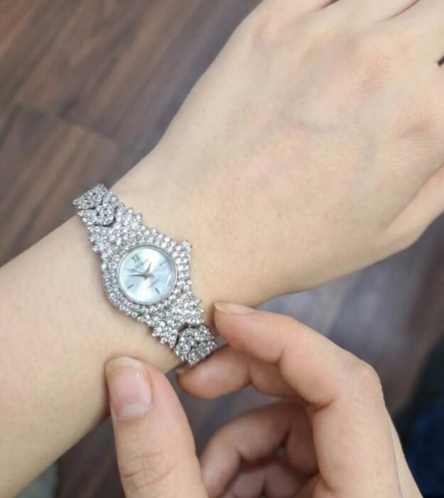 cropped-622901096_18041743604741393_7561838784781485950_n.jpg Luxury Women's Silver Watch Fully Adorned with Crystals - Image 1